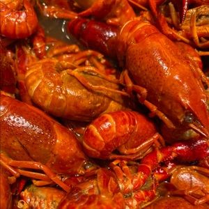 Meet your Posher, Thomas